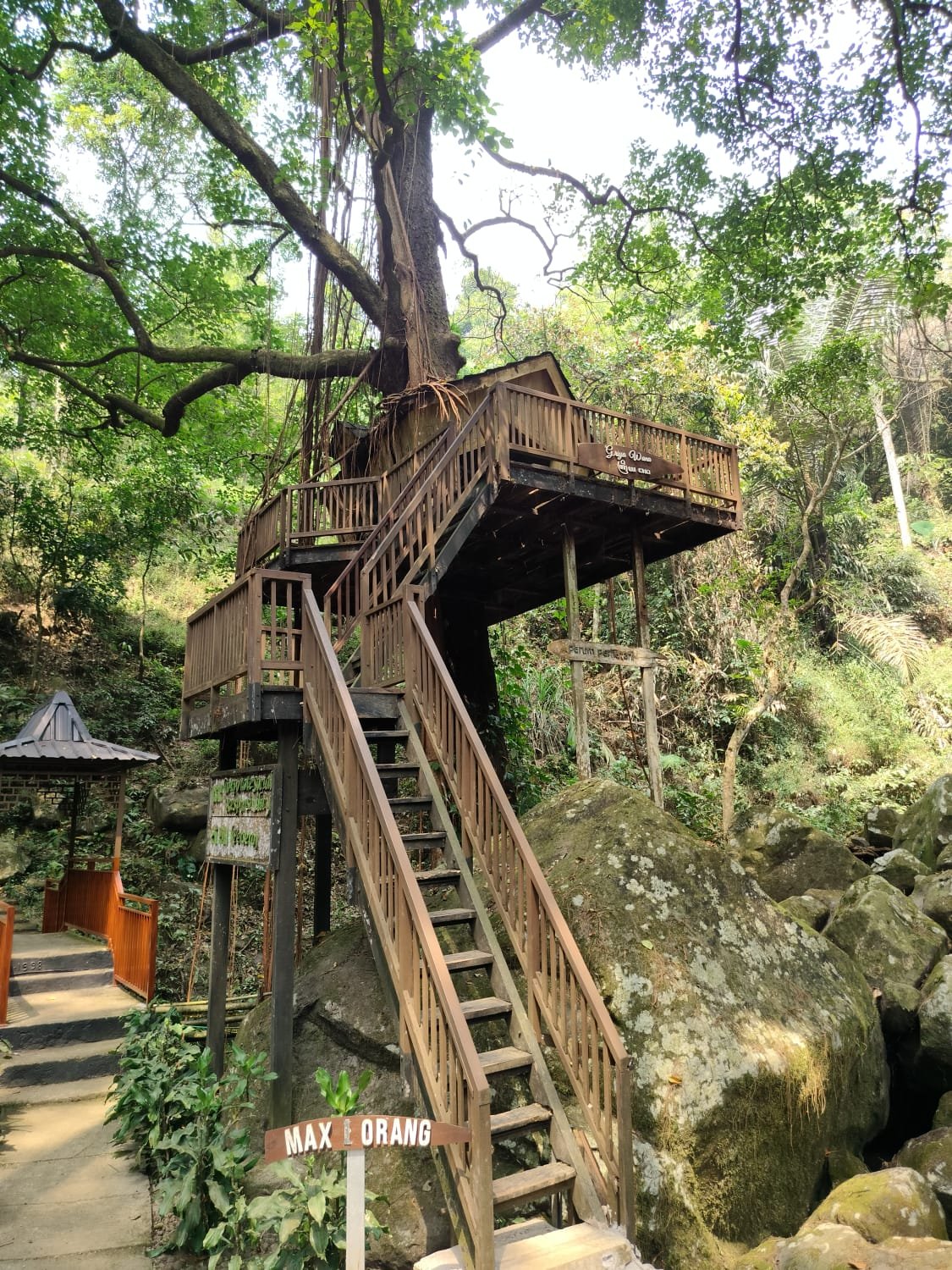 Rumah Pohon